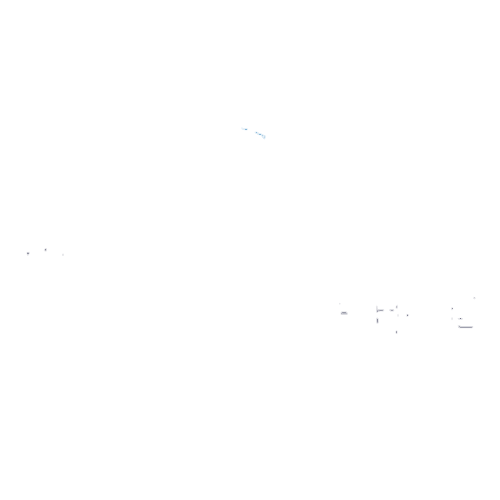 logo-bai